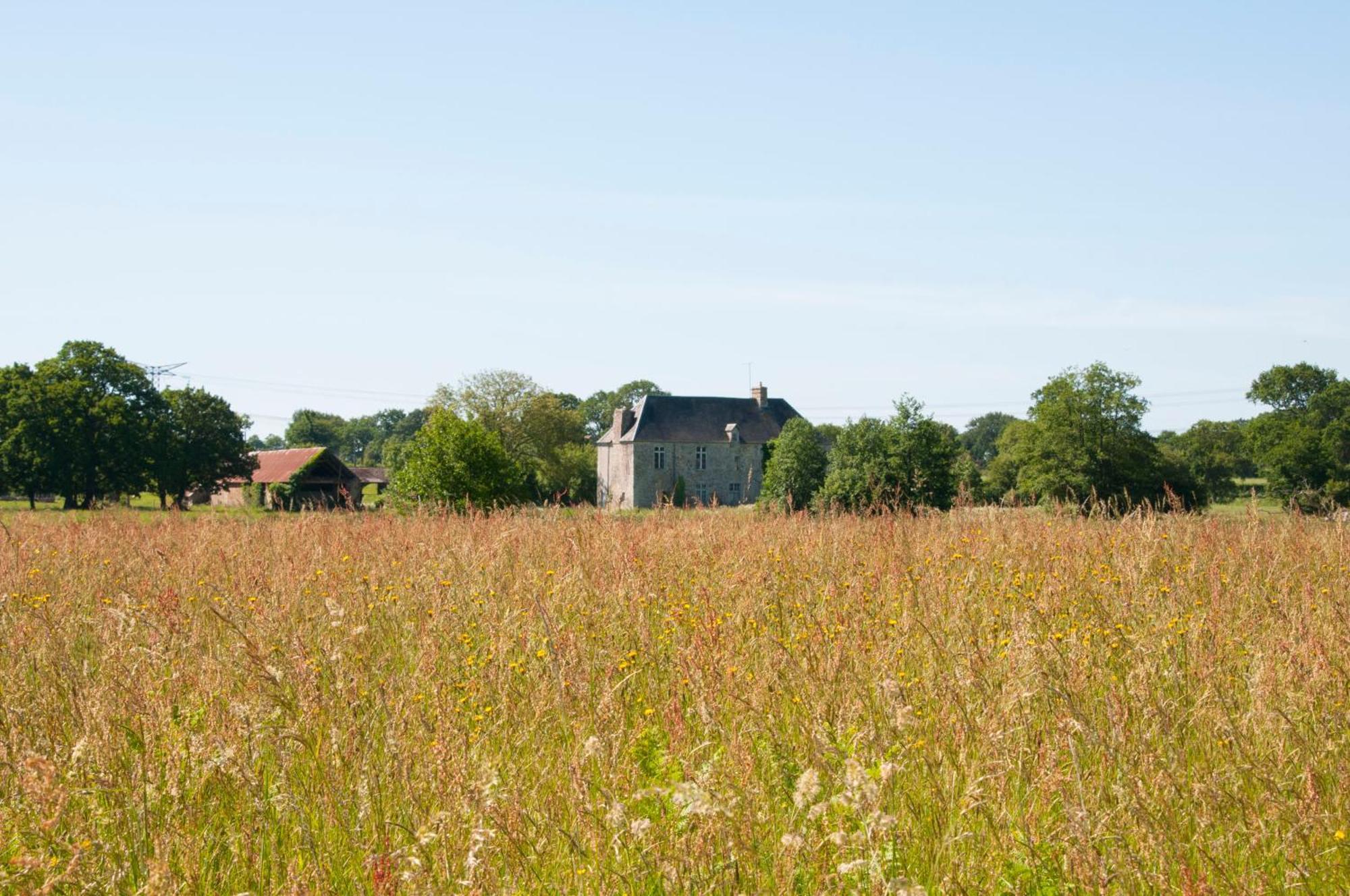 La Maison Des Tilleuls Saint-Germain-Sur-Seves Buitenkant foto